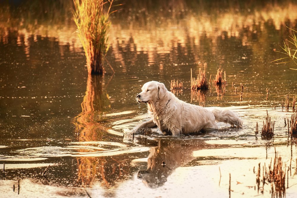 Photograph by Анастасия Мельник