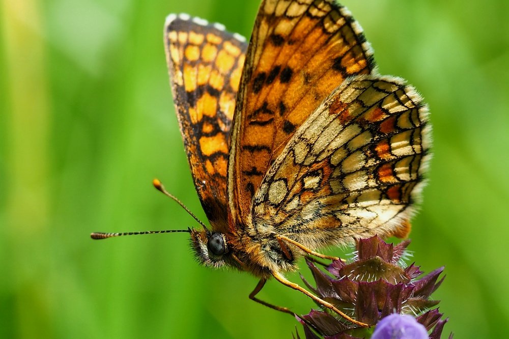 Photograph by Ирина