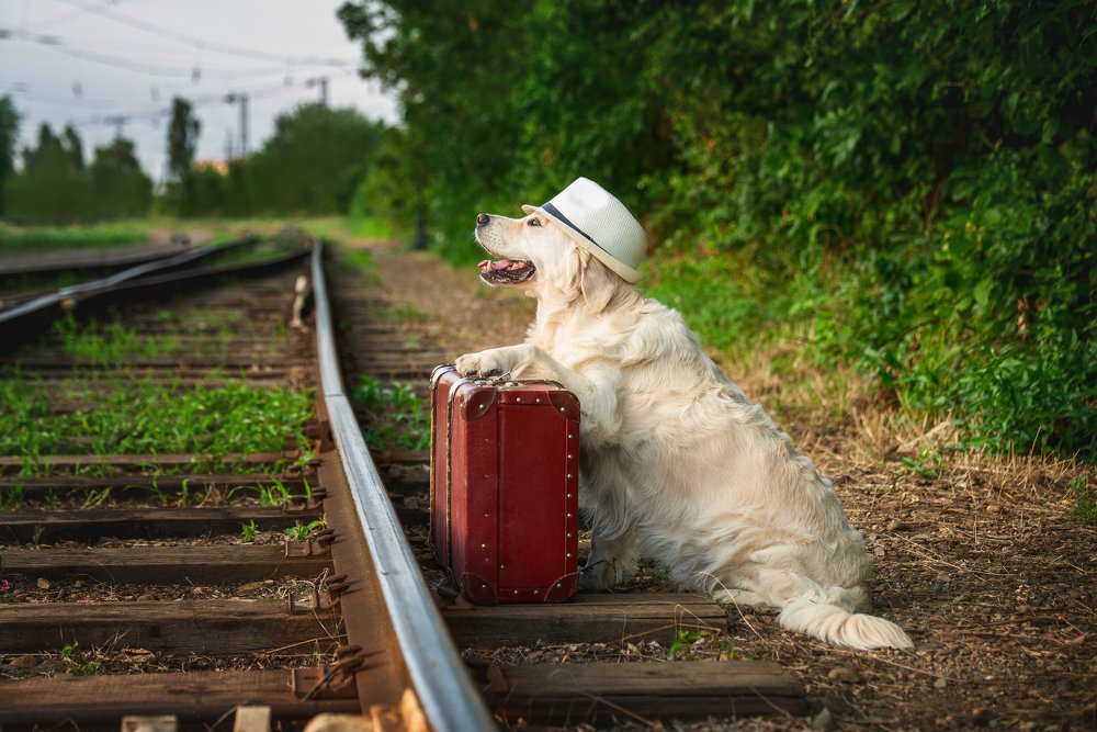 Photograph by Анастасия Мельник