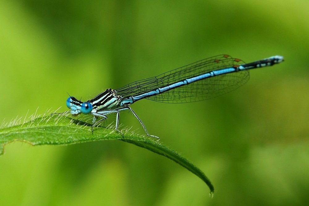 Photograph by Ирина