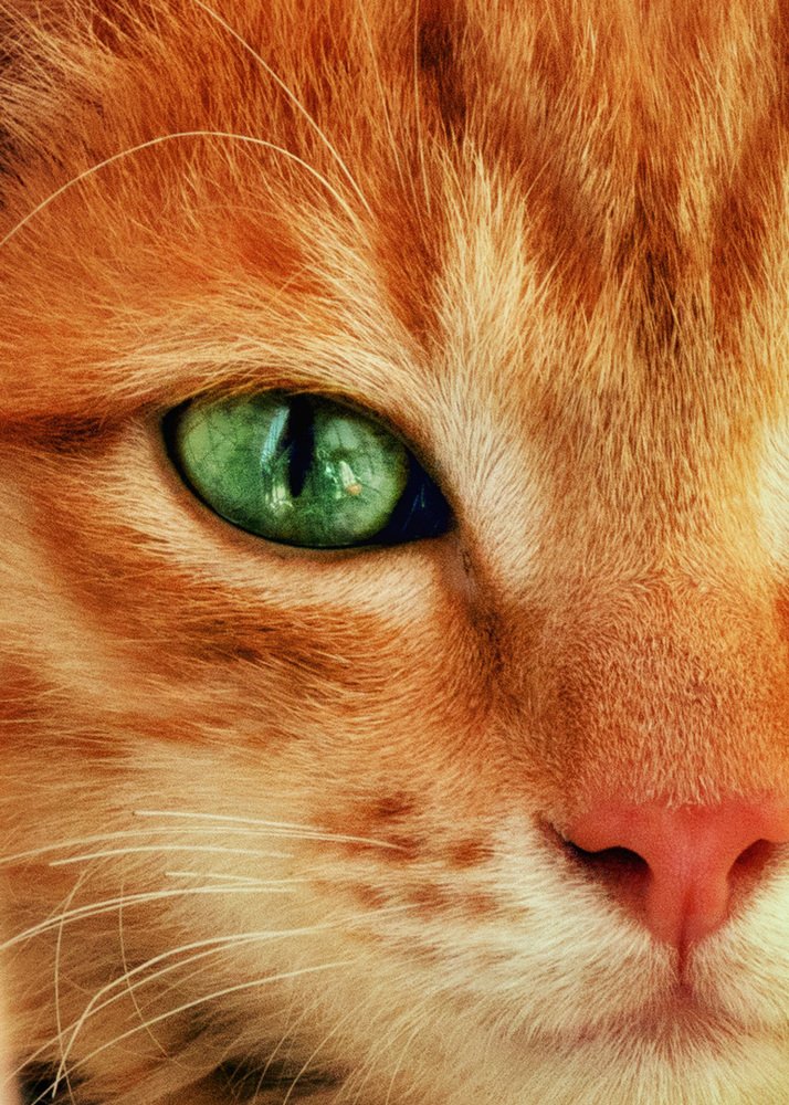 Photograph by Татьяна Колесникова