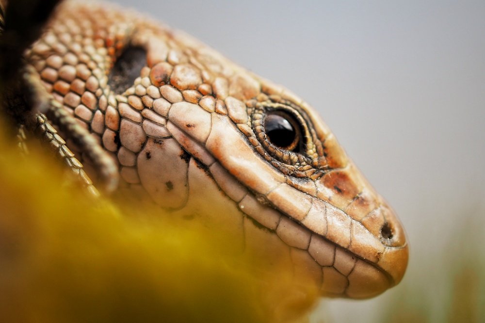 Photograph by Ирина