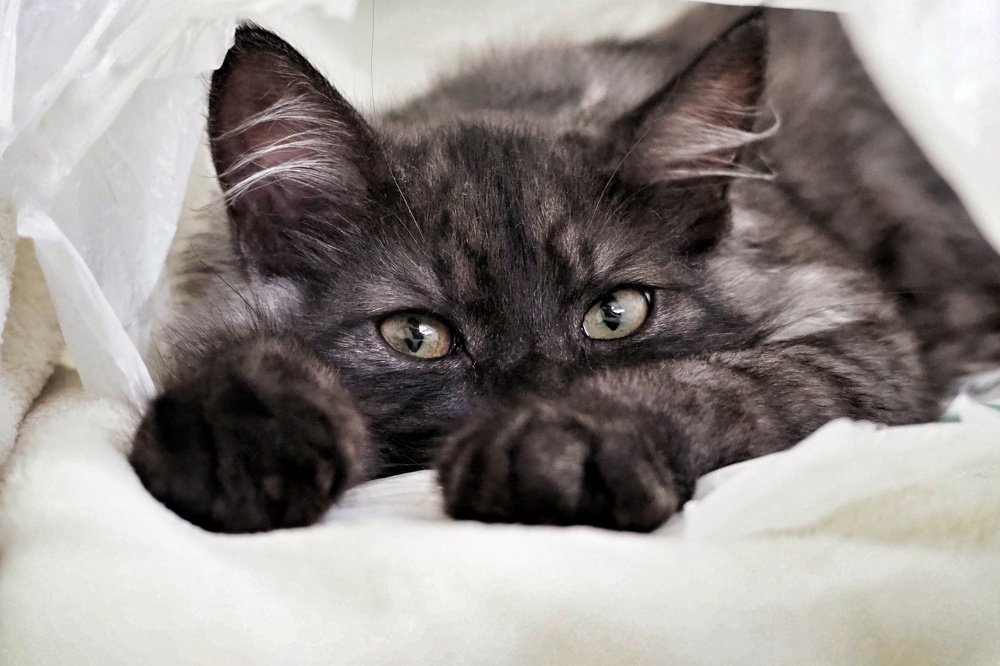 Photograph by Ирина