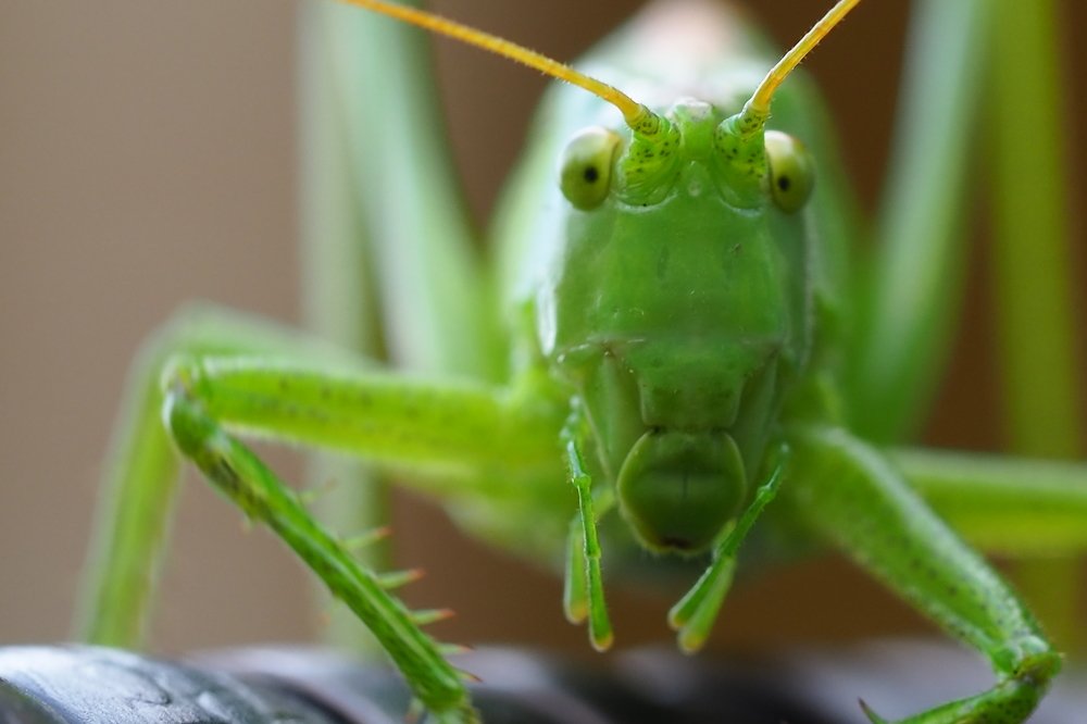 Photograph by Ирина