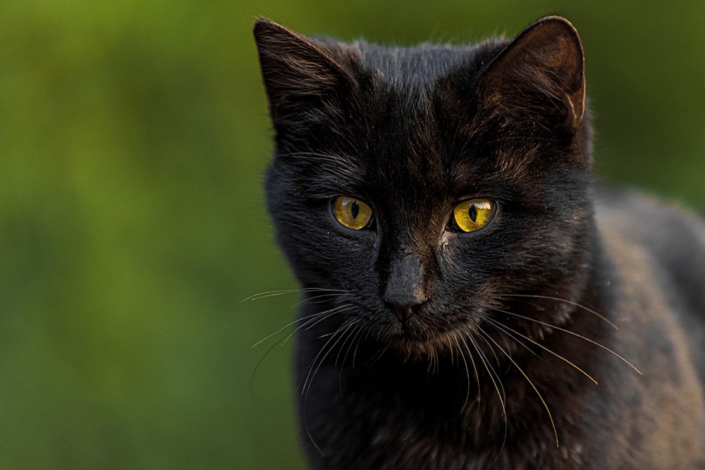 Photograph by Mohammadreza Pourian