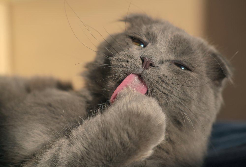 Photograph by Елизавета Байкова