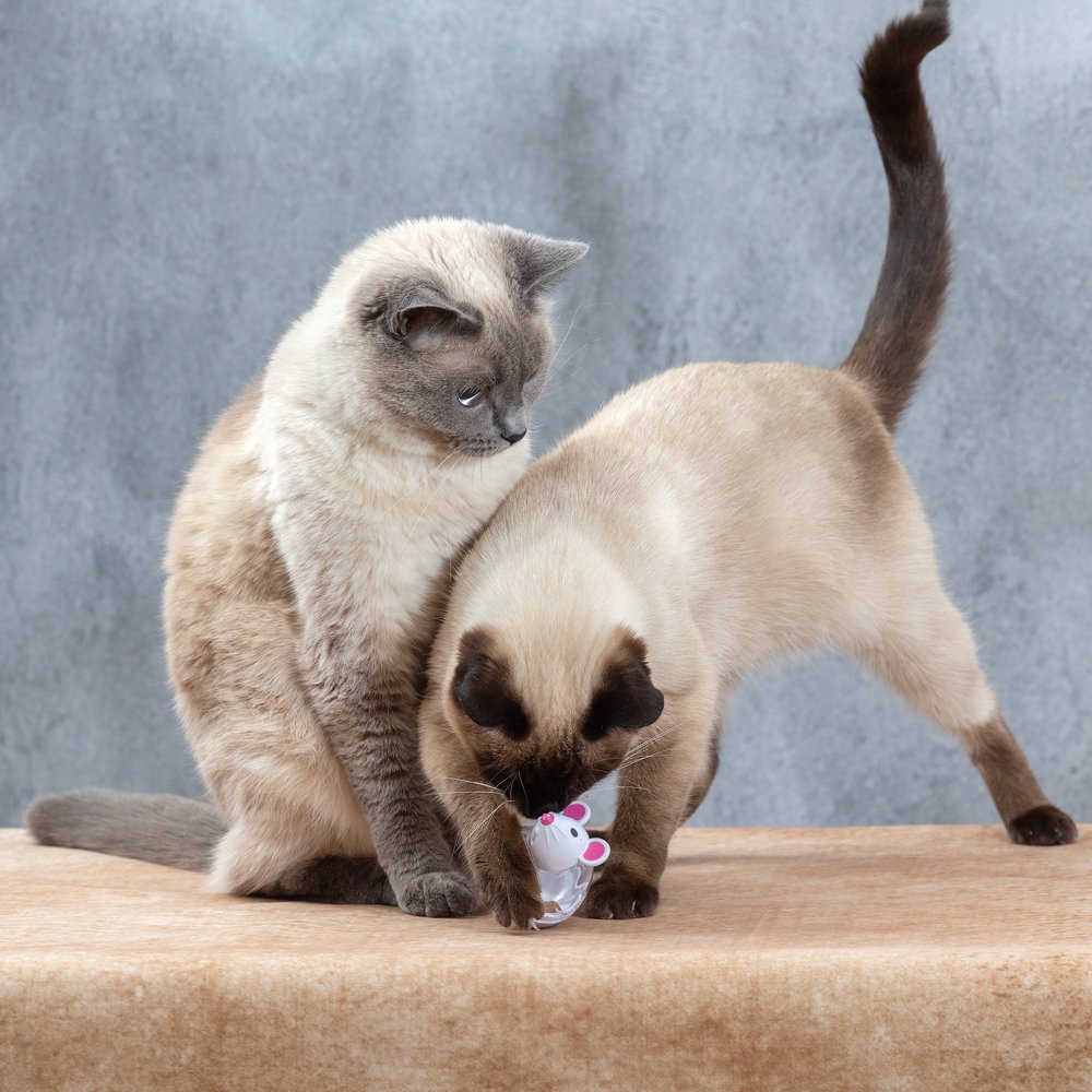 Photograph by Екатерина Коломеец