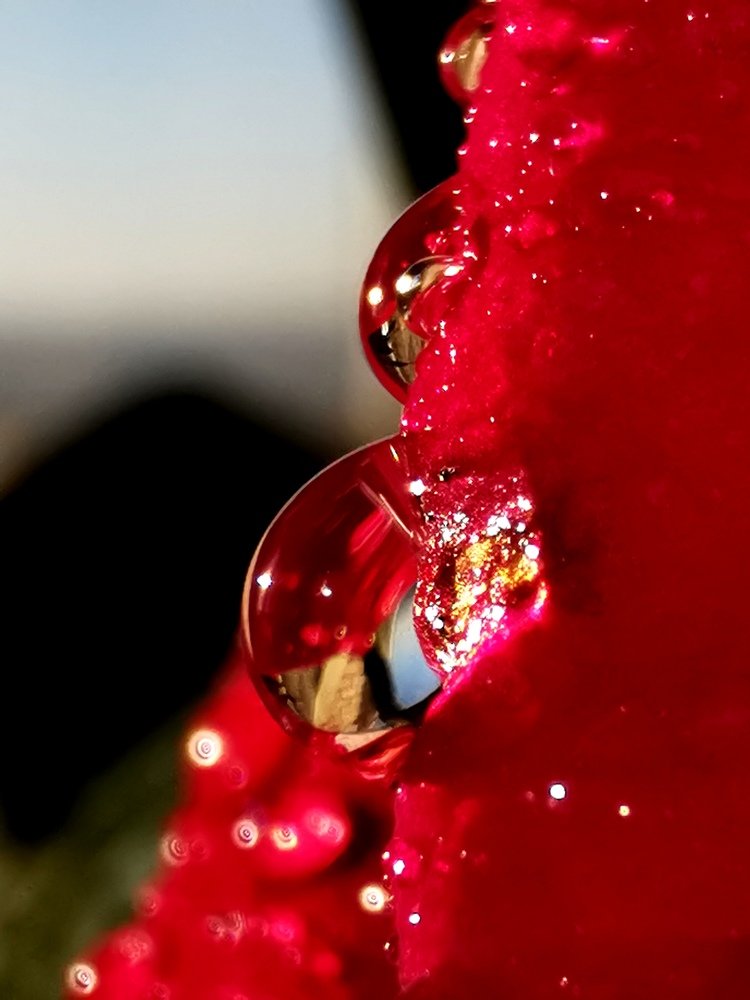 Кристальная чистота