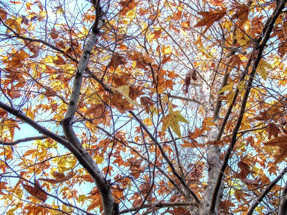 Photograph by Михаил Драйшпиц