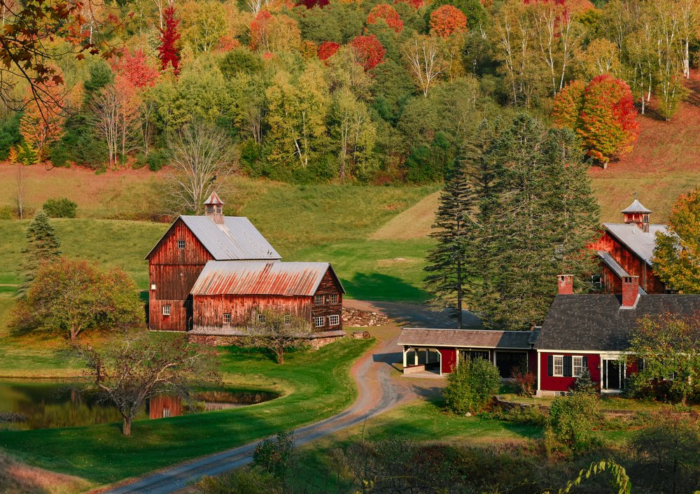 Photograph by Gargee Chowdhury