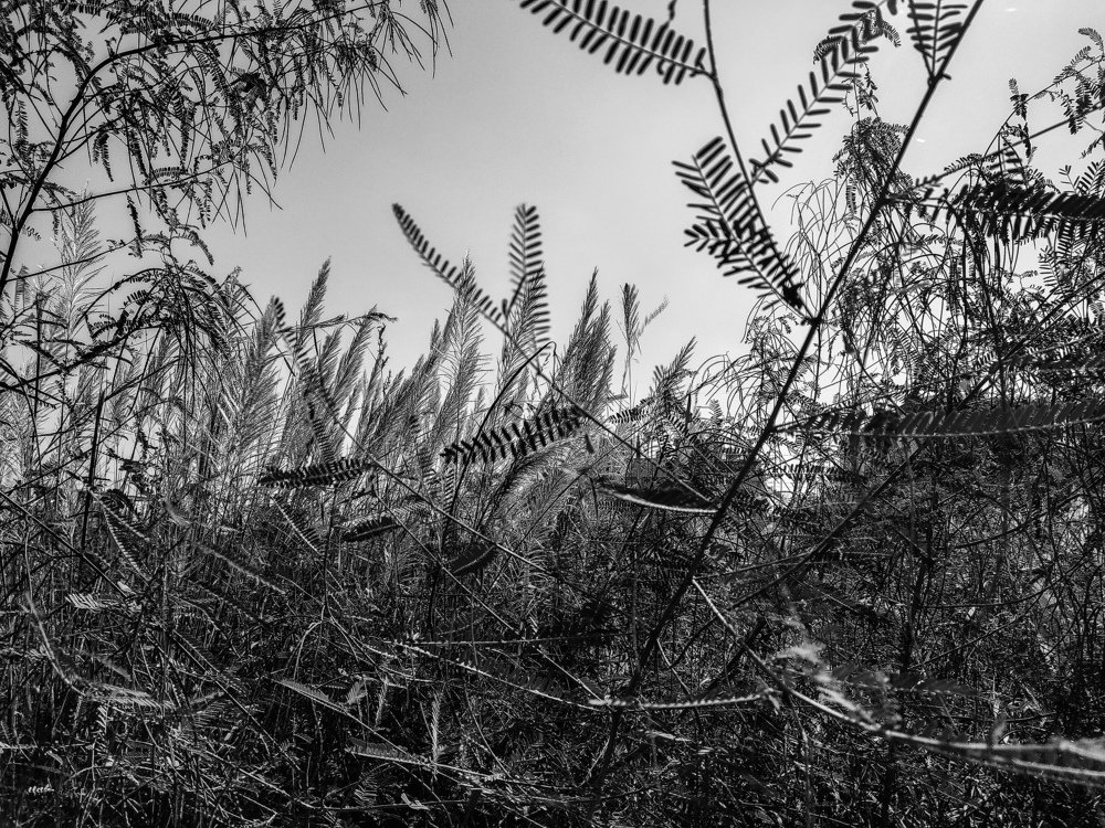 Photograph by Aravintha Ramaswamy