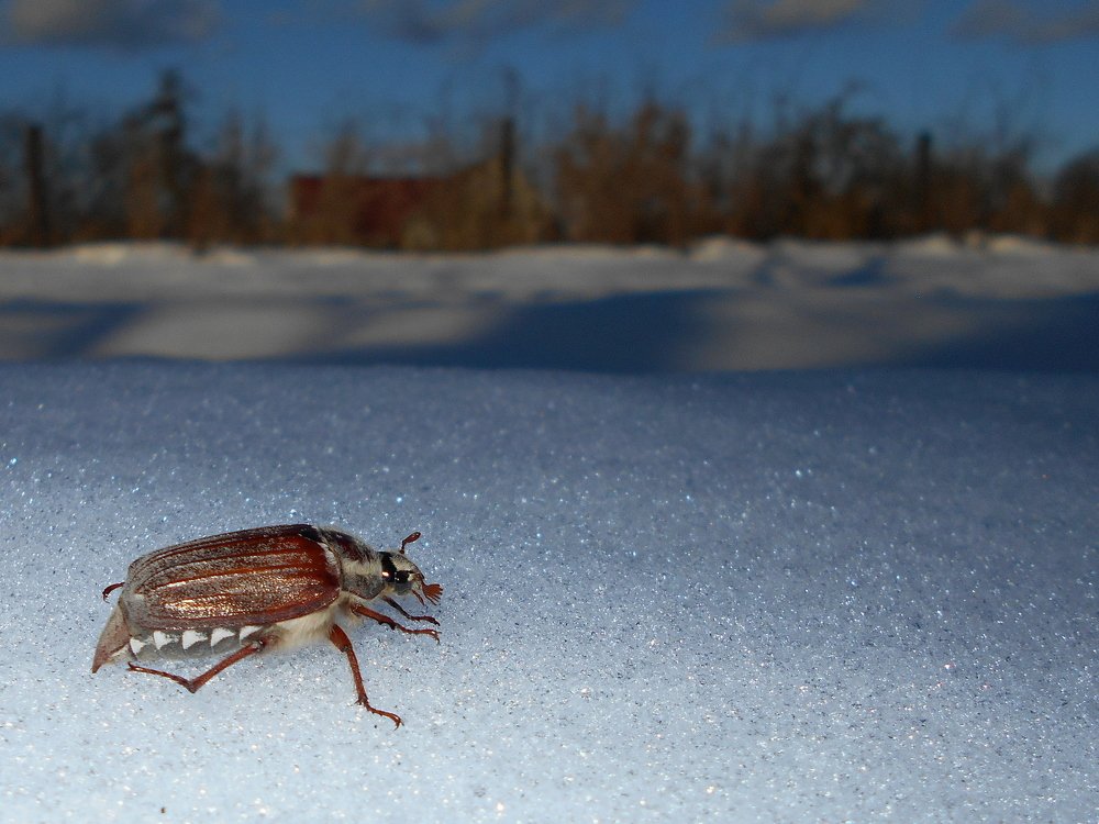 Photograph by Валерий Талейко