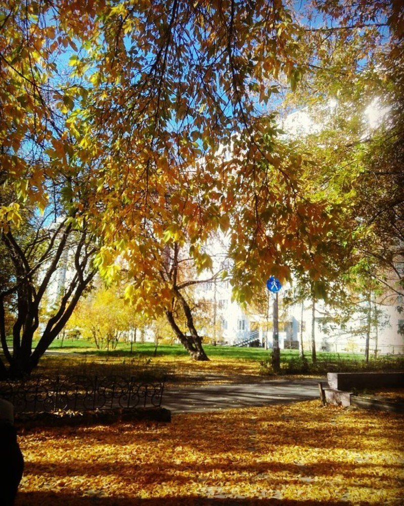 Photograph by Юлия Гагарина