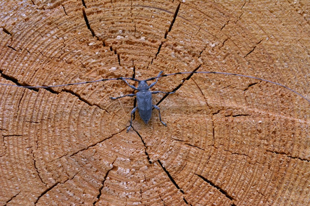 Photograph by вячеслав милов