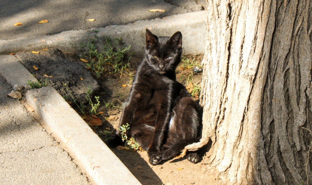 Photograph by Денис Лащ