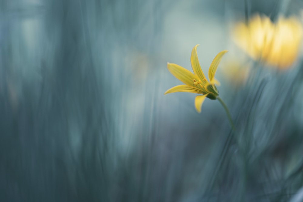 Photograph by Игорь Копцев