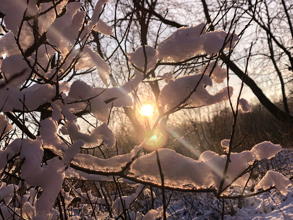 Photograph by Елена Киркицкая