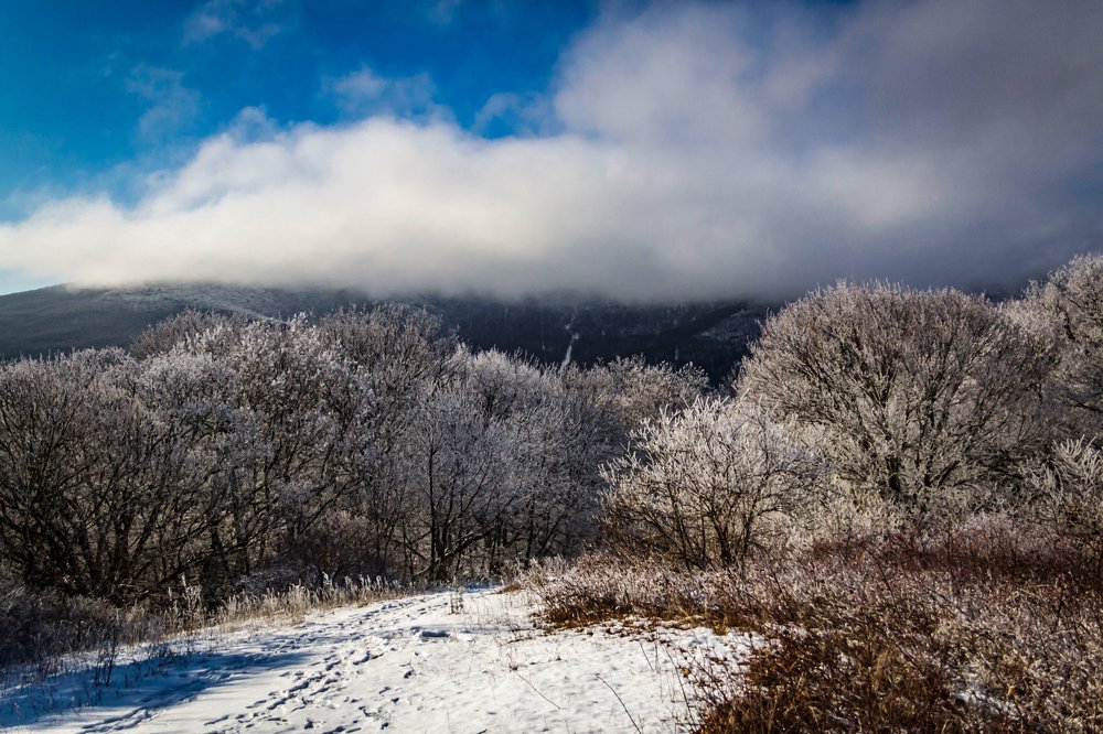 Photograph by Игорь Сидун