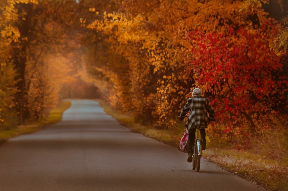 Photograph by Natalia Shamaeva