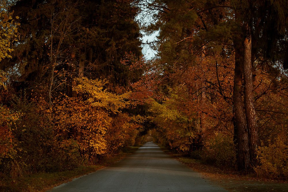 Photograph by Natalia Shamaeva