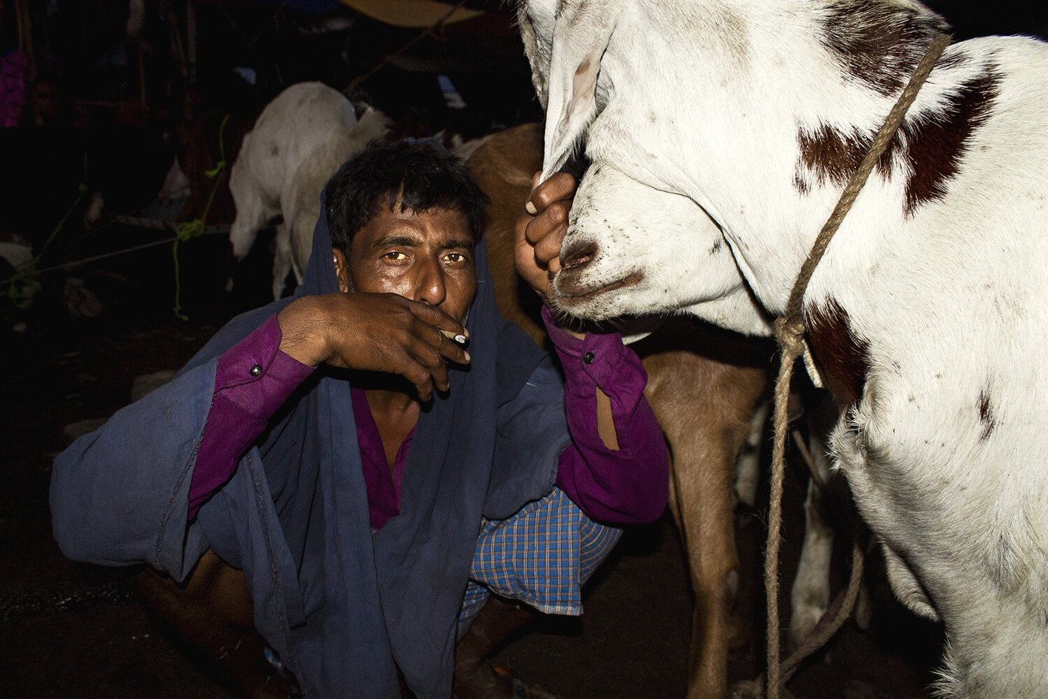 smoking man and his goats