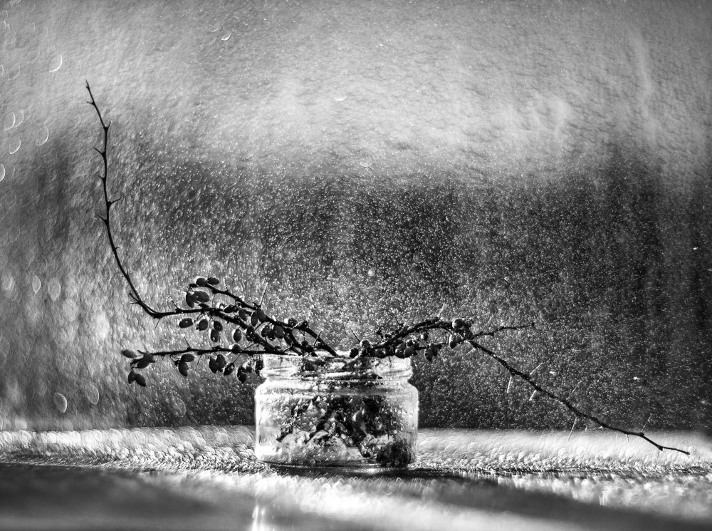 Photograph by Владимир Жуков