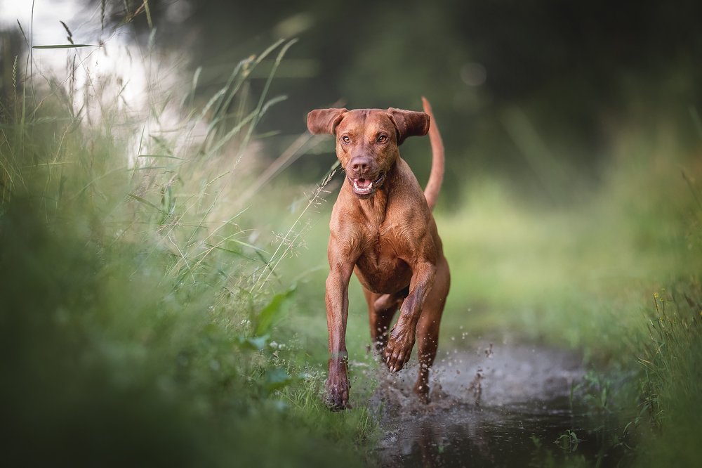 Photograph by Людмила Богуш