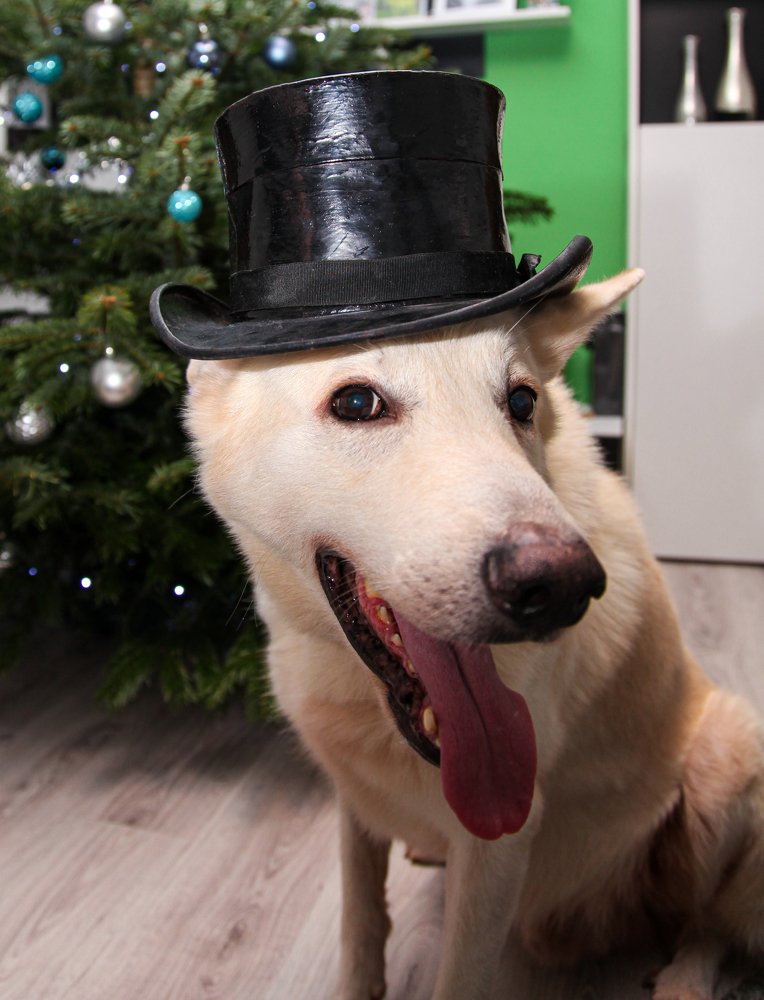 С Рождеством!