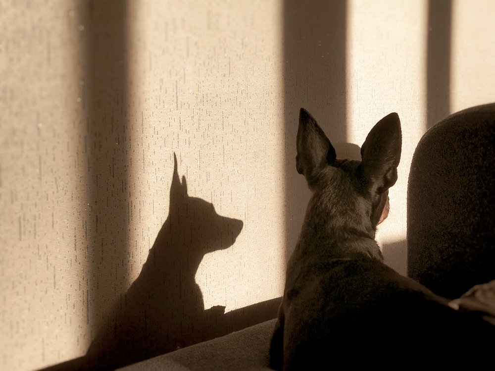 Photograph by Виолетта Афанасьева