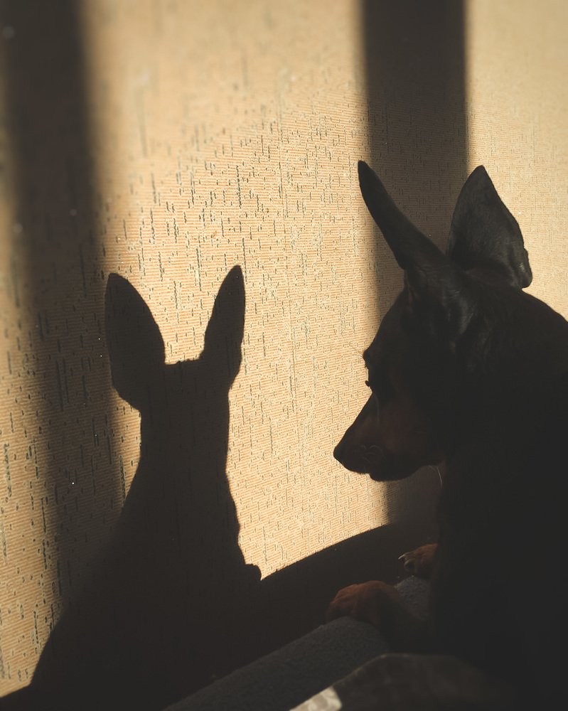 Photograph by Виолетта Афанасьева