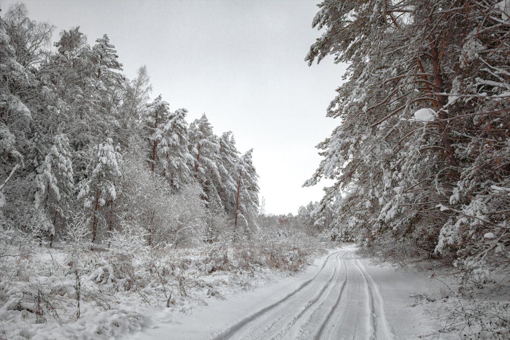 Photograph by андрей зорин