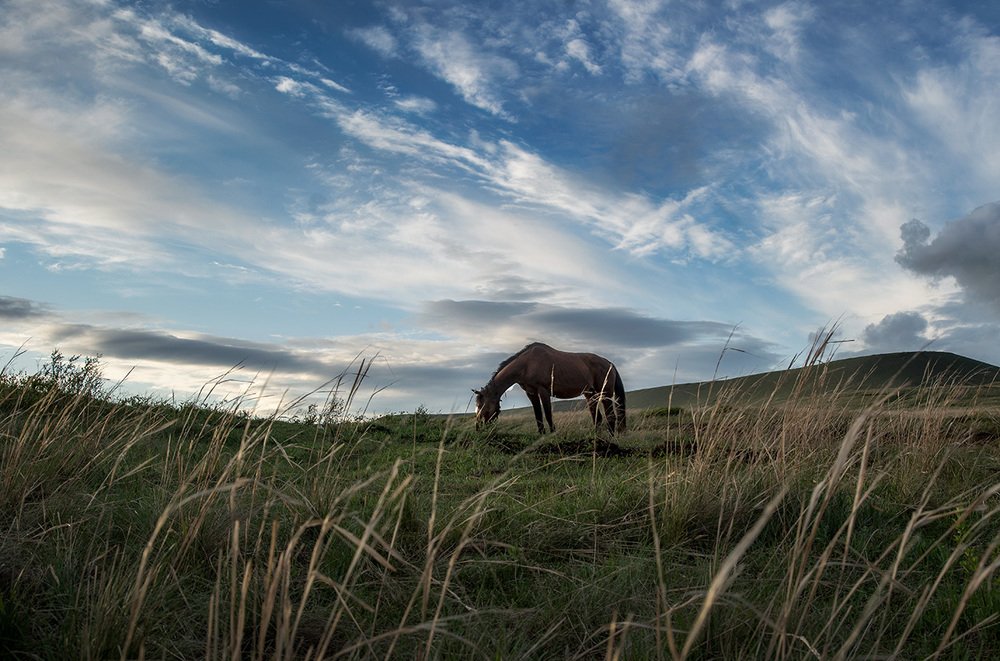 Photograph by Тамара Андреева