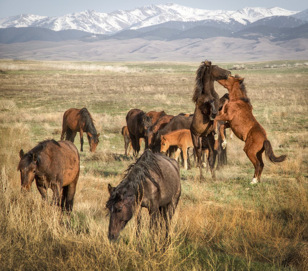 Photograph by Тамара Андреева