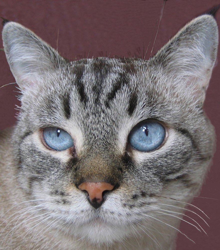 Photograph by Сергей Лобозов