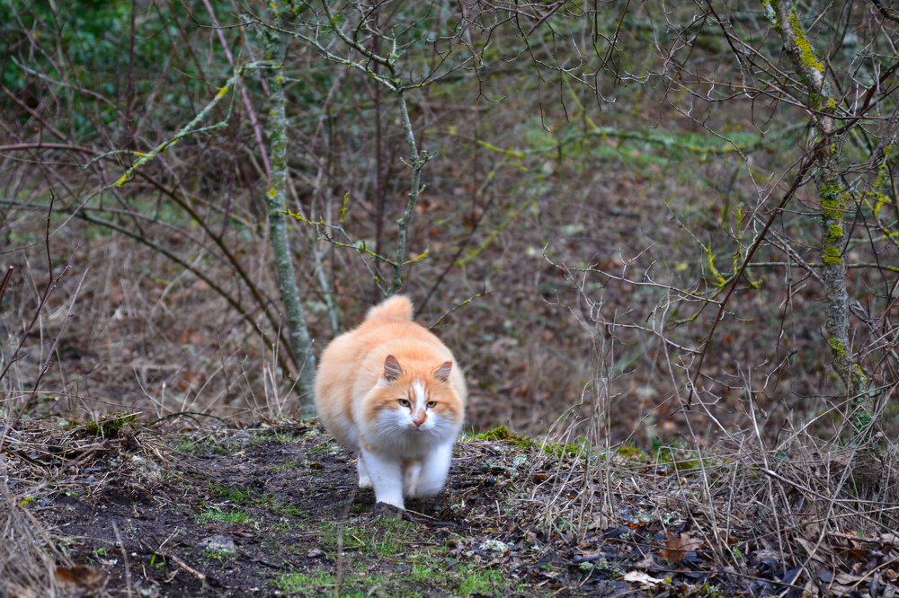 Photograph by Анатолий Орлов