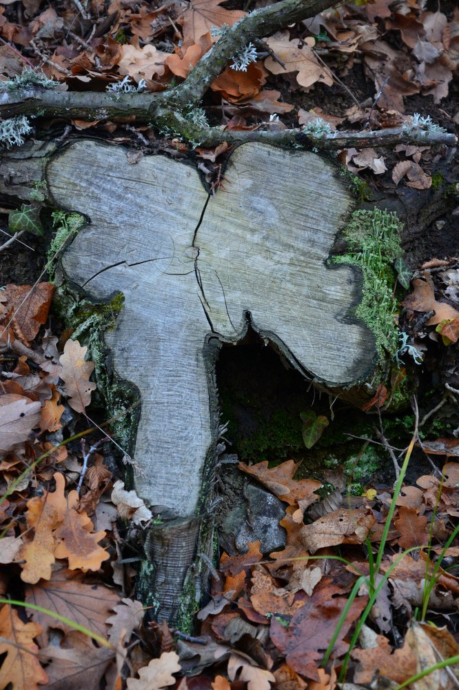 Photograph by Анатолий Орлов