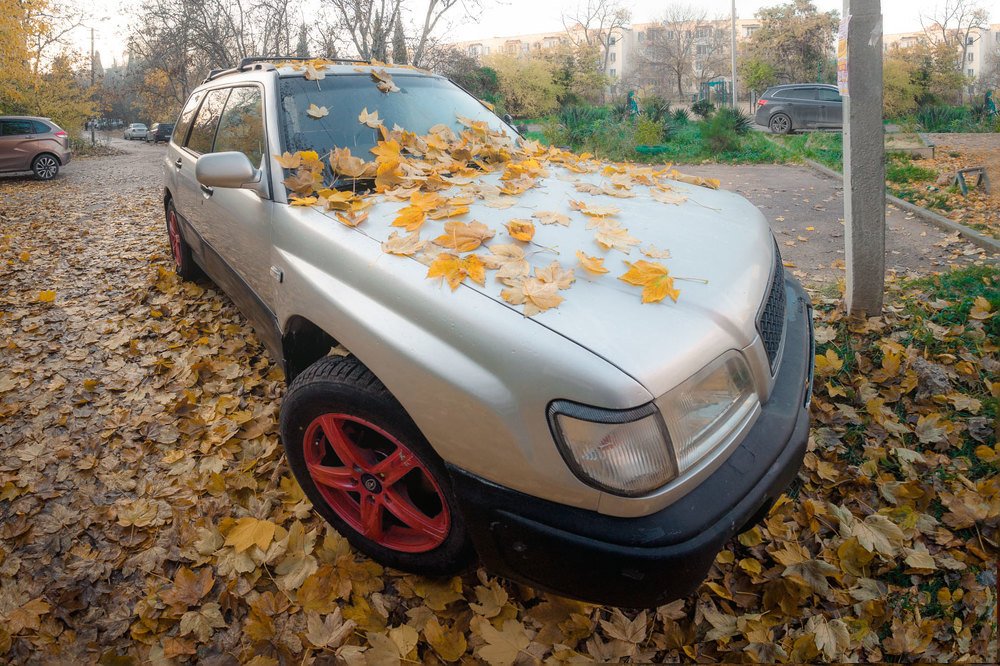 Photograph by Mihail