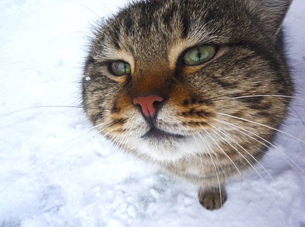 Photograph by Darya Dolinina