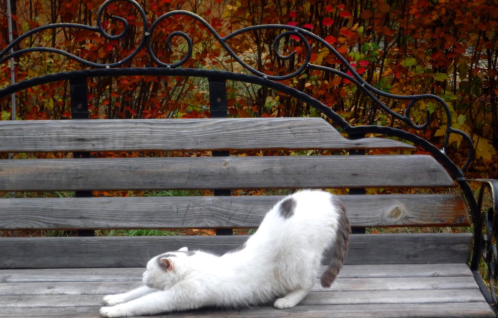 Photograph by Darya Dolinina