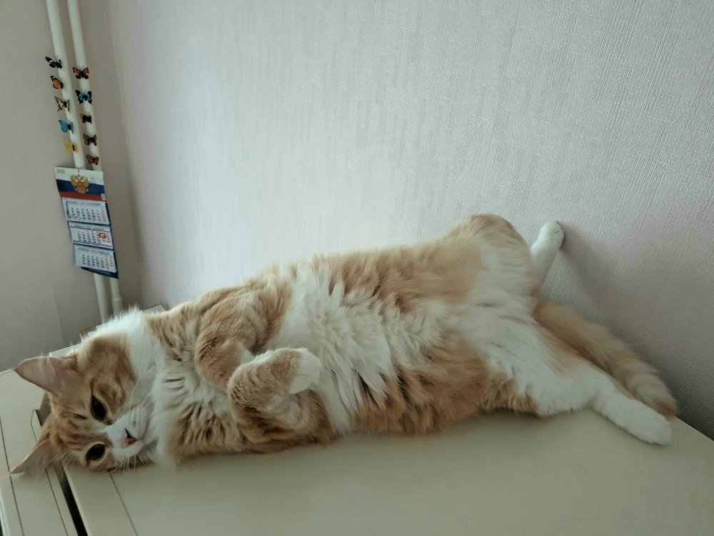 Photograph by Марина Гимеина