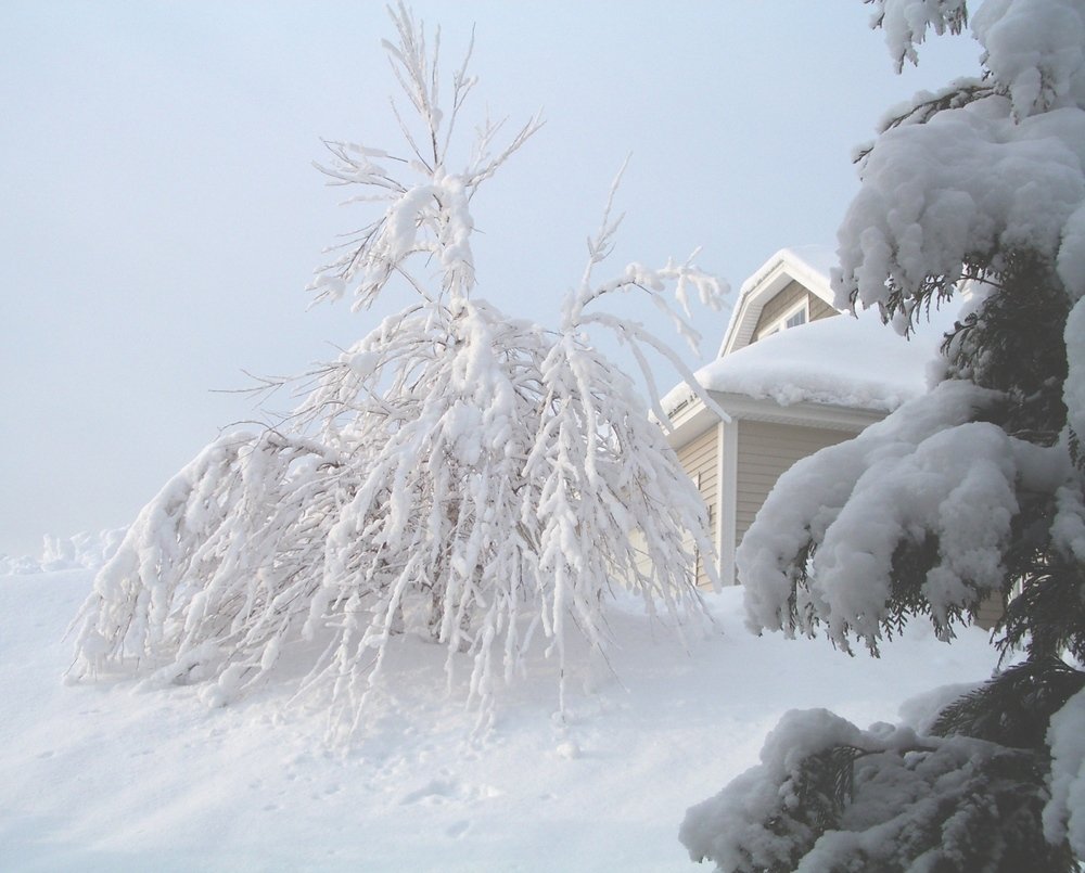 Winter, Westbrook, ME