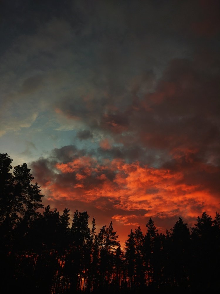 Photo #5350099