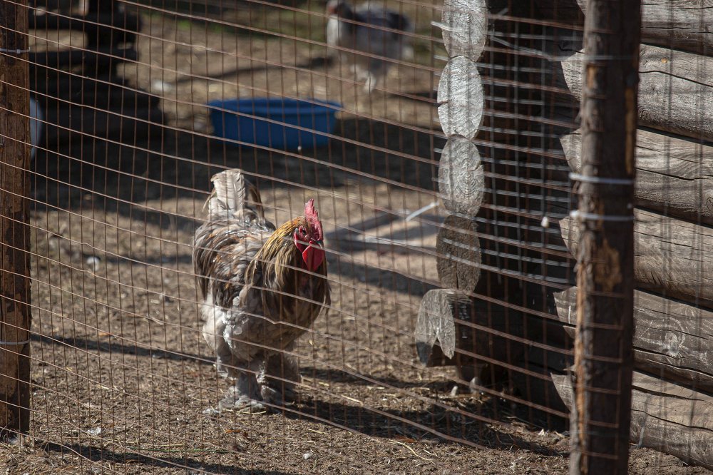 Photograph by Андрей Обухов