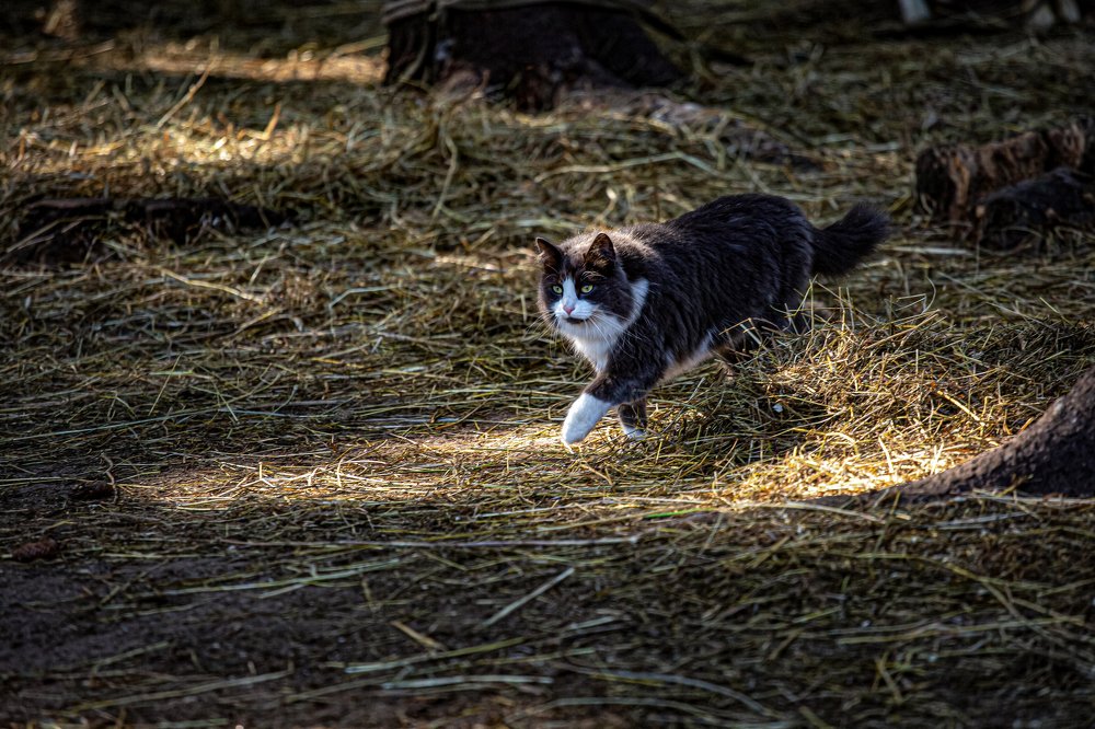 Photograph by Андрей Обухов