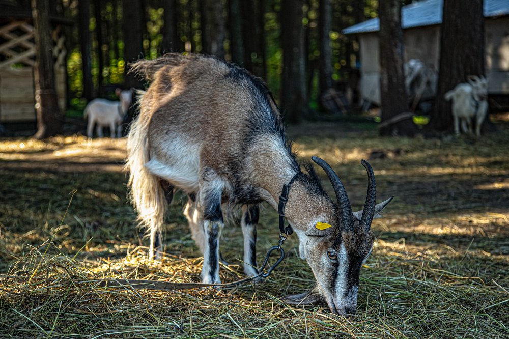 Photograph by Андрей Обухов