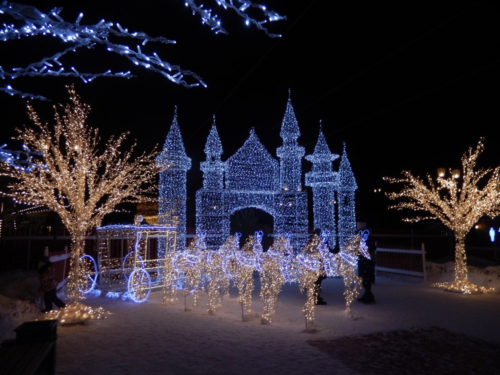 Фотография автора Клавдия Васильева