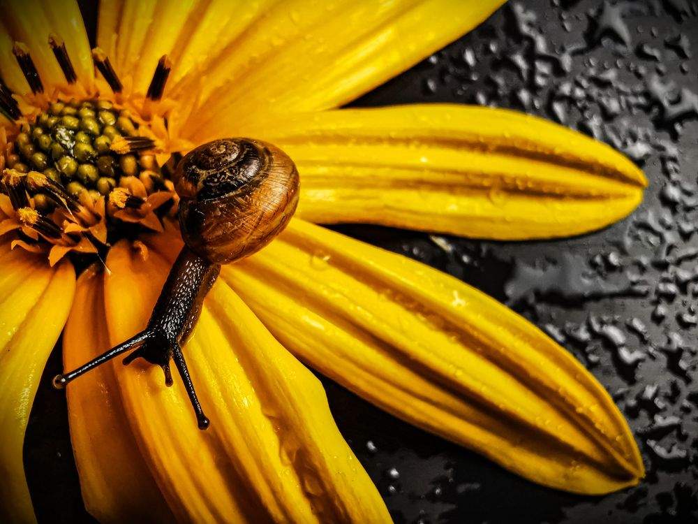 Photograph by Юлия Иванова