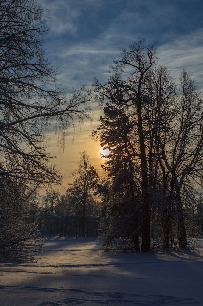 Photograph by Александр Максимов