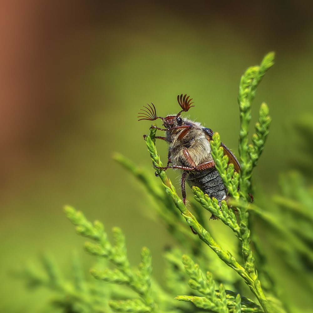 Photograph by Анатолий Макоедов