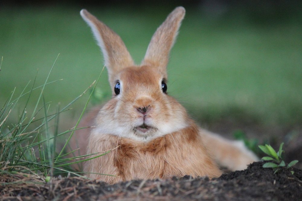 Photograph by Алексей Кремнёв